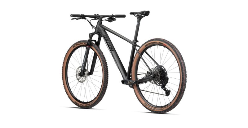 Radon JEALOUS AL 10.0 SL – Bild 3