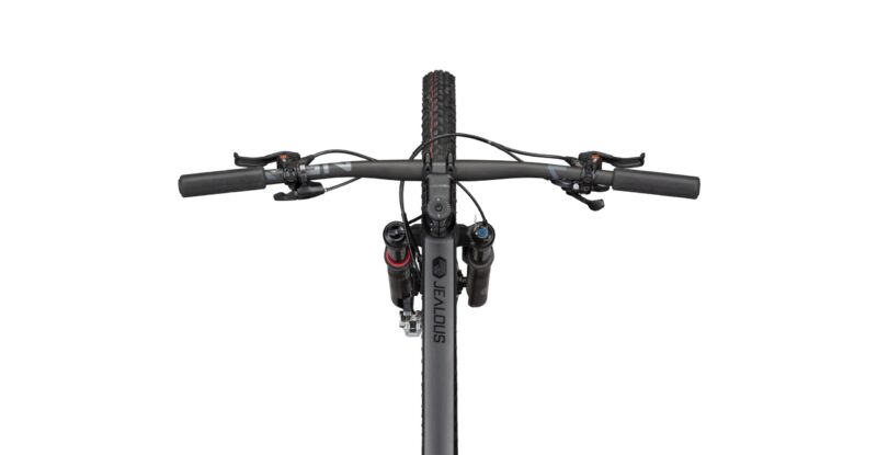 Radon JEALOUS AL 10.0 SL – Bild 4