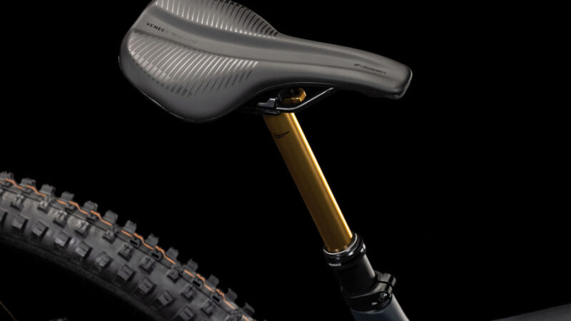 Cube Stereo Hybrid ONE44 HPC AT 800 carbon´n´gold – Bild 6