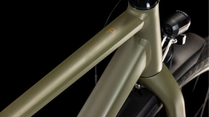 Cube Hyde Pro FE dustyolive´n´gold – Bild 4