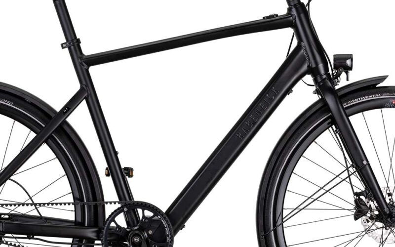 Rabeneick TX-E Singlespeed / Bafang / 252Wh / Disc / Gates schwarz – Bild 4