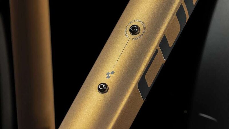 Cube Nature Pro Lady Allroad gold´n´black – Bild 4